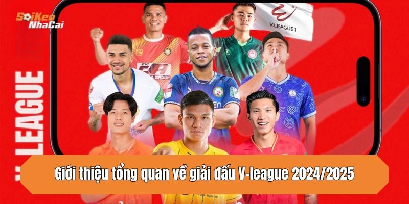 Giới thiệu tổng quan về giải đấu V-league 2024/2025