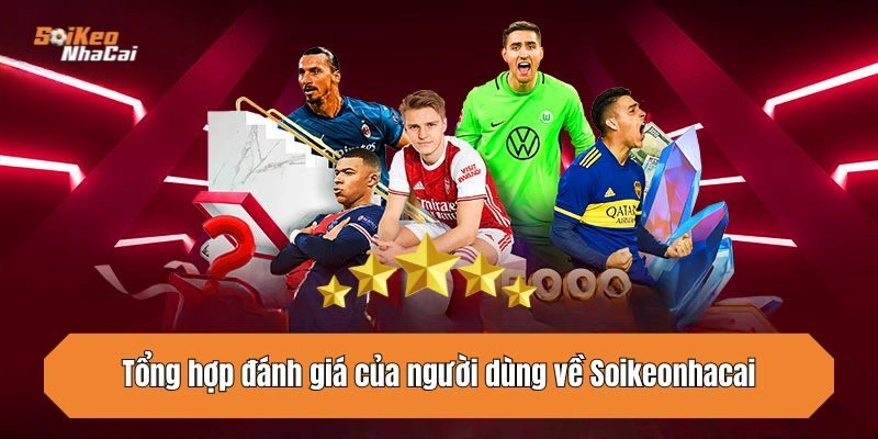 Tổng hợp đánh giá của người dùng về Soikeonhacai