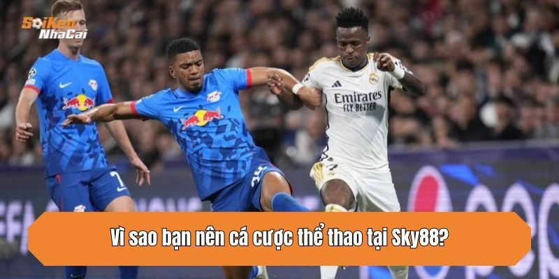 Vì sao bạn nên cá cược thể thao tại Sky88?