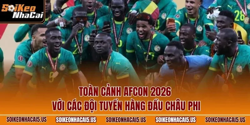 Toàn cảnh AFCON 2026 với các đội tuyển hàng đầu châu Phi